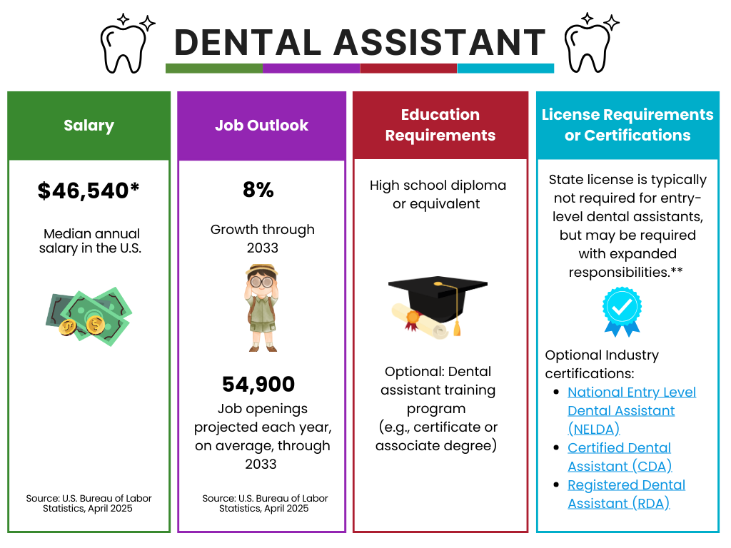 Dental Assistant Career summary Dental Assistant career